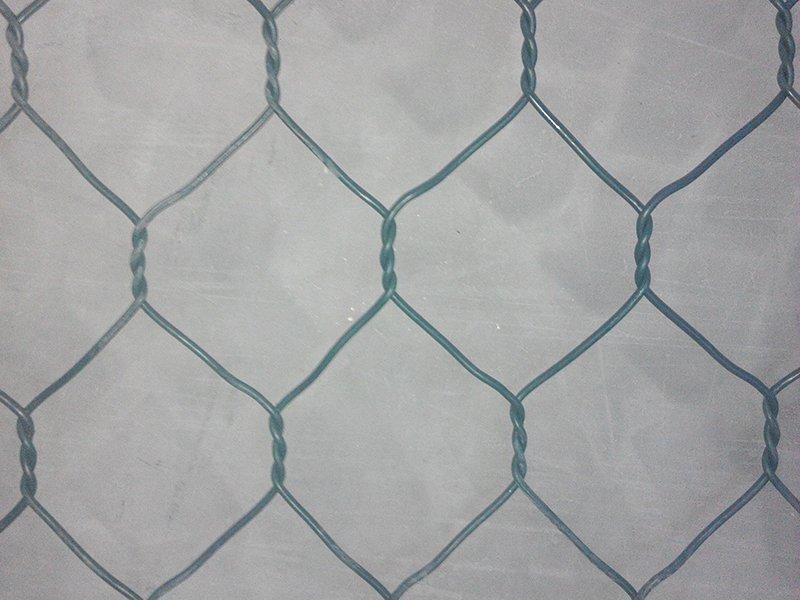 ͺذsӵZo(h)|푪(yng)